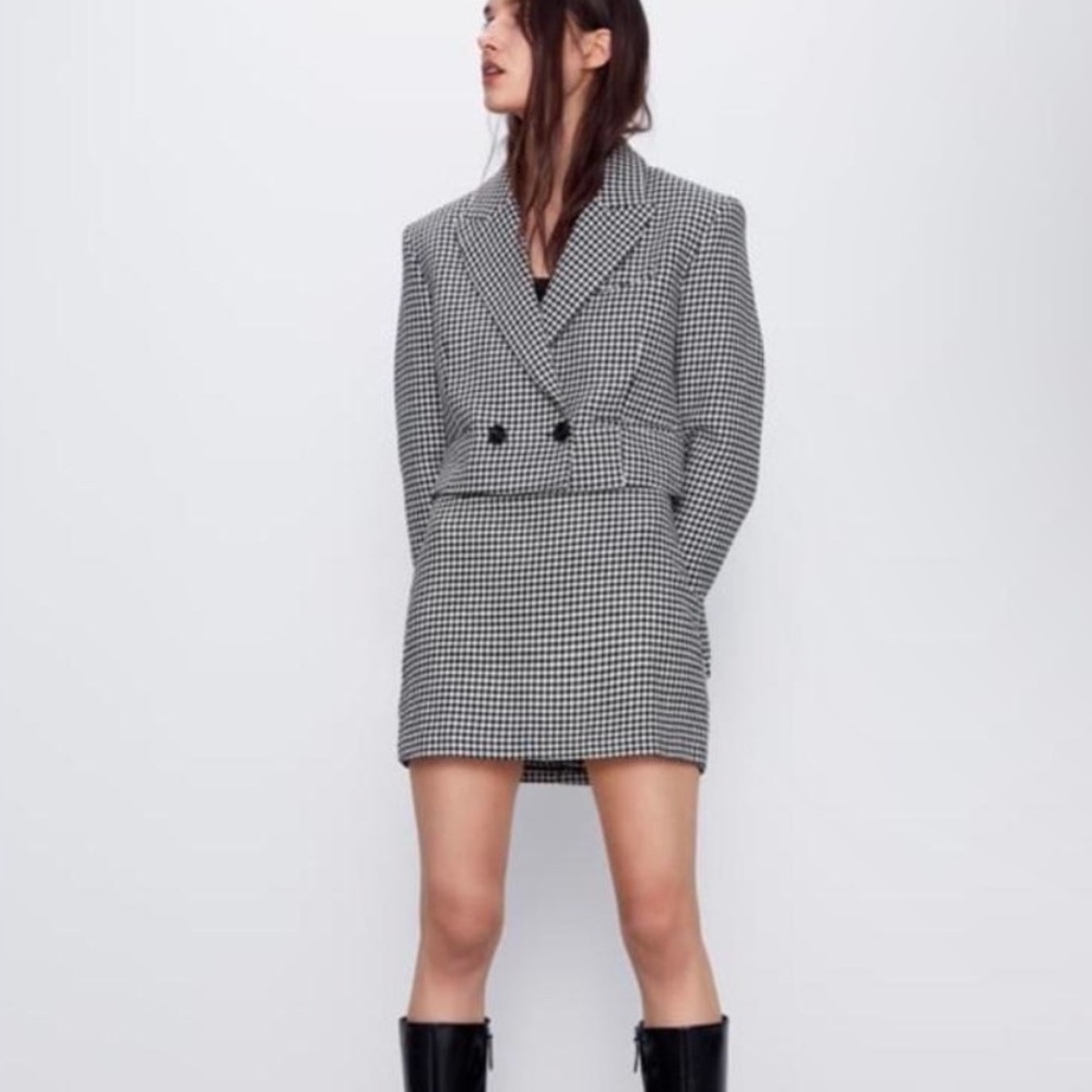 NWT Zara Skirt